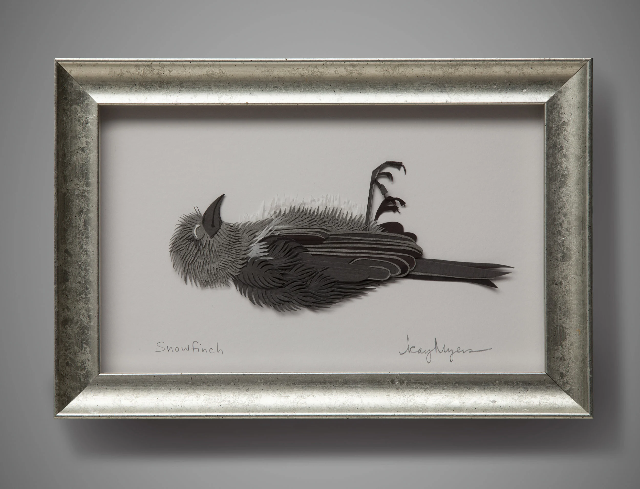Snowfinch
