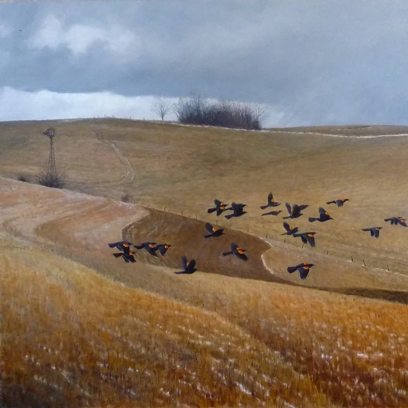 RedwingsComingNorth_OilOnBoard25x39F.jpg