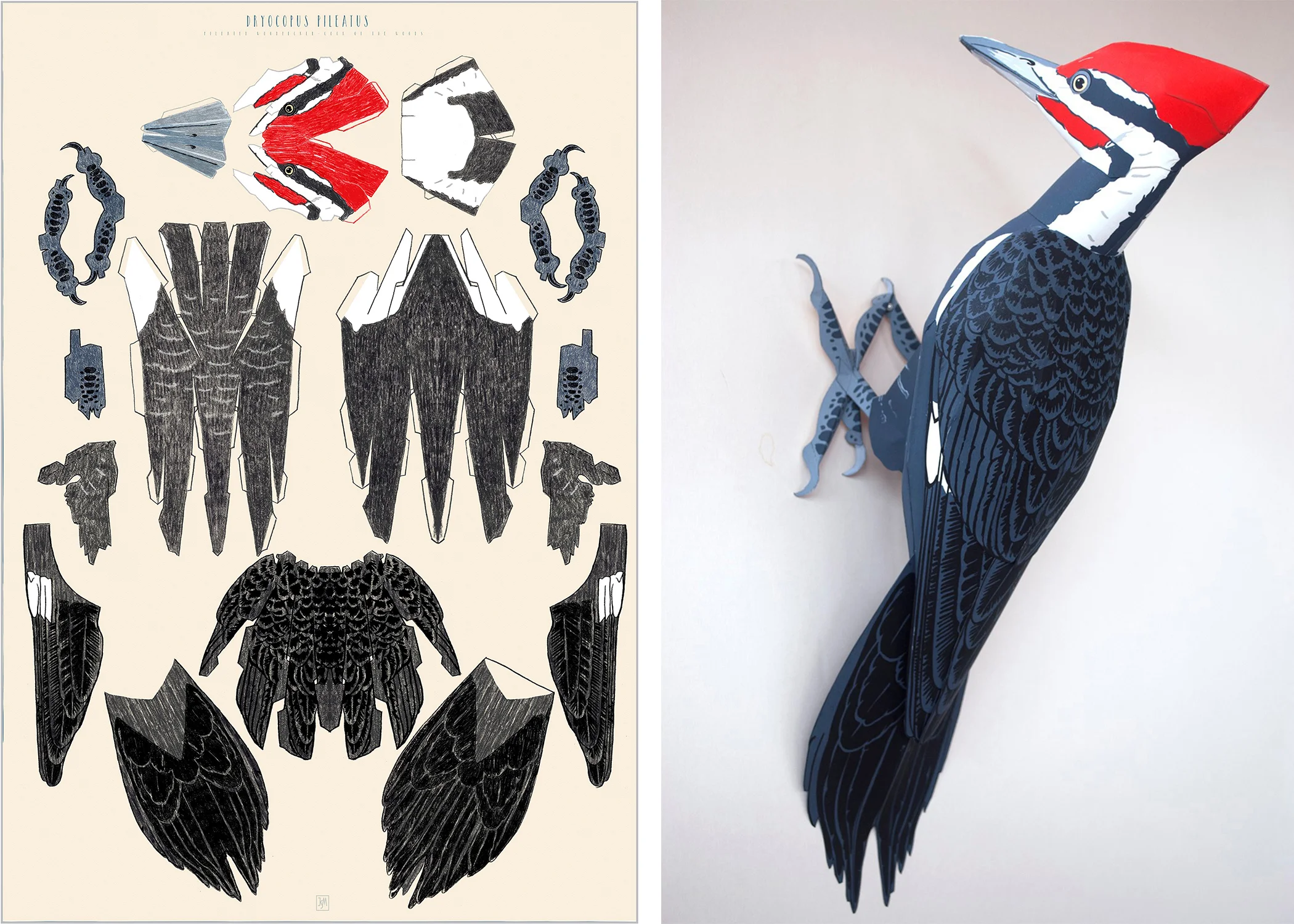 Dryocopus Pilleatus (Pileated Woodpecker) Pileated Woodpecker Sculpture digital print cut paper and mixed media 41.75 x 30.75(32.25 x 22.25) 20 x 7 x 9 $600 ($400 unframed) $450