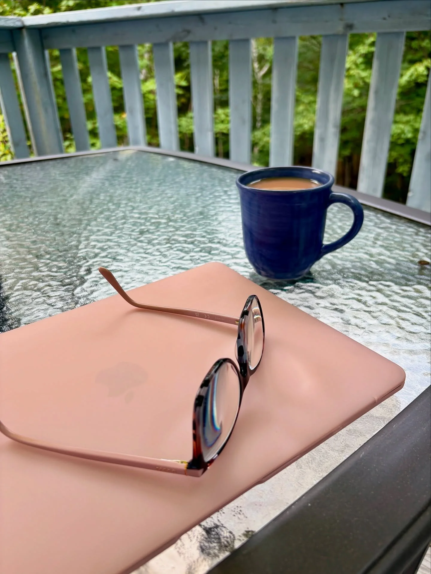 I&rsquo;m starting the third draft of the sequel to Pet Tales today. I&rsquo;m really enjoying being able to work on my back deck, surrounded by trees, and feeling the light breeze and mist in the air (and channeling Lorelai, &ldquo;I smell autumn!&r
