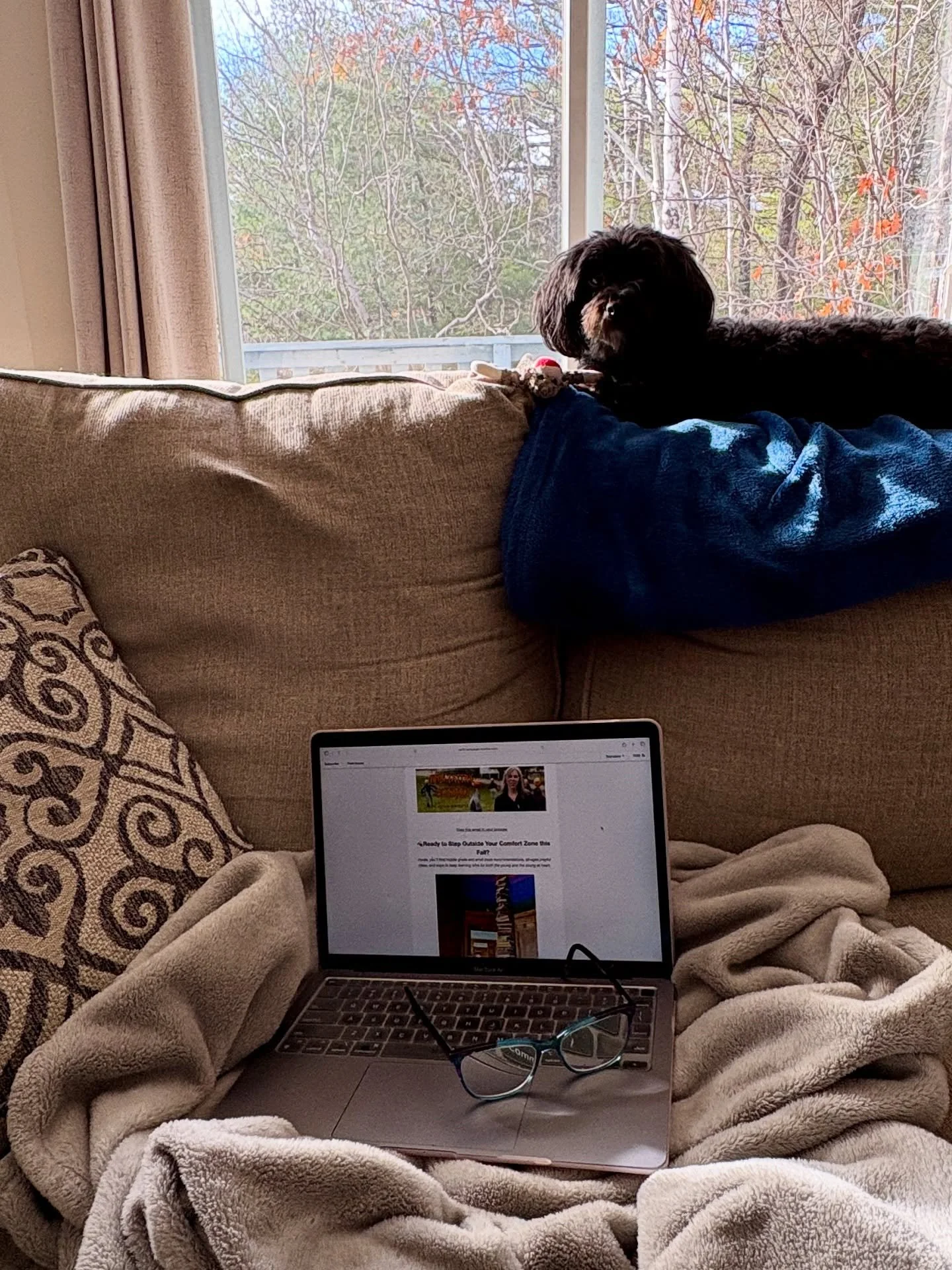 My newsletter reboot drops tomorrow morning!

I&rsquo;ve been craving a little less time scrolling and a little more time creating &hellip; so I&rsquo;m relaunching my newsletter. Each issue will explore a theme through books I&rsquo;m enjoying, play