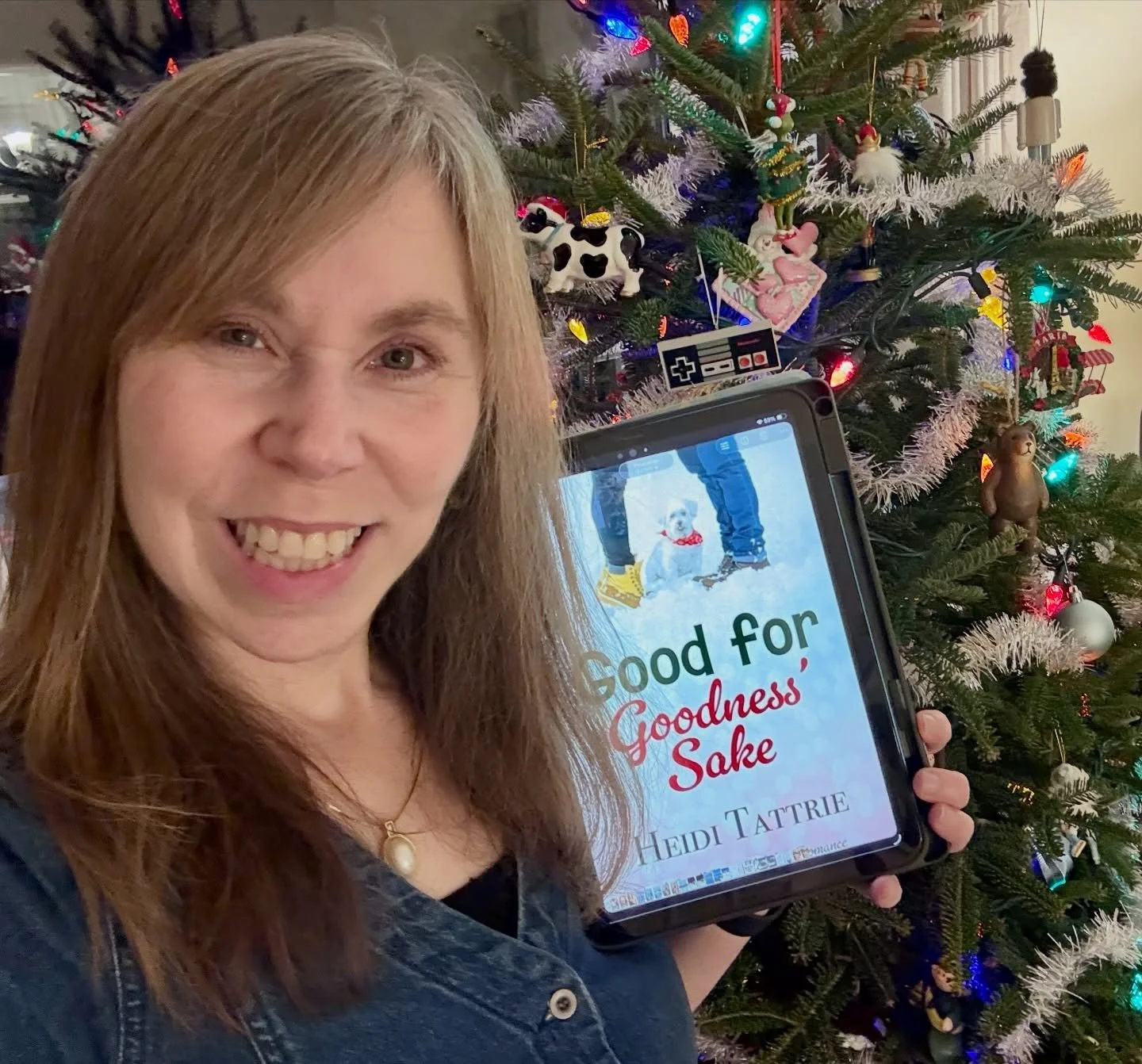I&rsquo;m in the news! Thanks to The Laker News, my Fall River community newspaper, for covering my new Christmas ebook release and the antics and chaos surrounding its creation. You can find the story in my profile links.