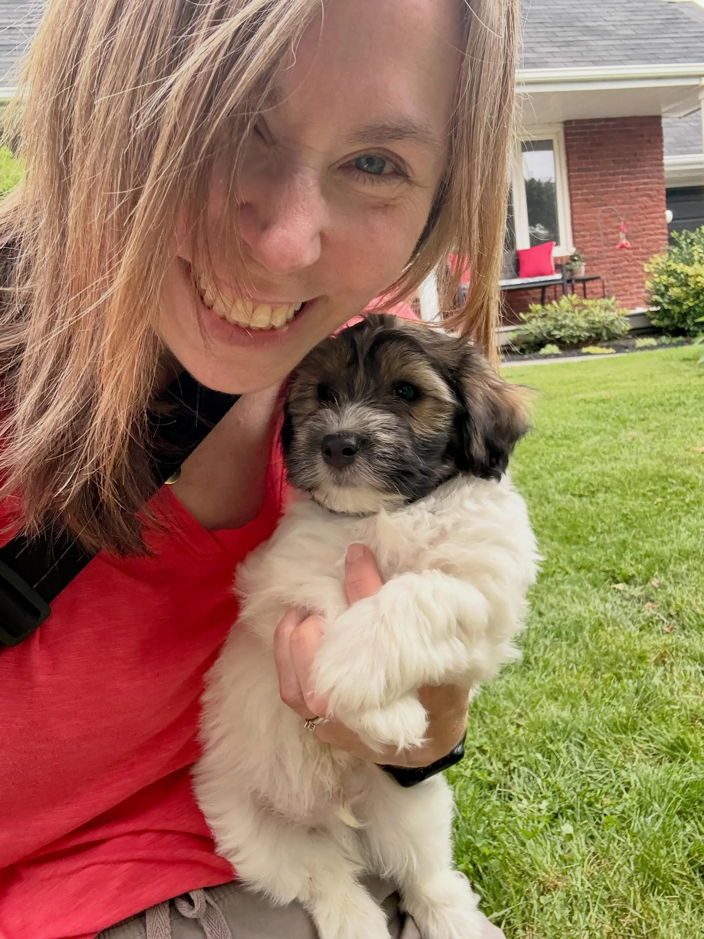 Meet our newest family member, Theodore Barrington (Theo to his friends 😉🧸). 

We&rsquo;re enjoying getting to know this funny little cuddlebug and his silly personality and already can&rsquo;t imagine our family without him! 🤎

Check out slide 6 