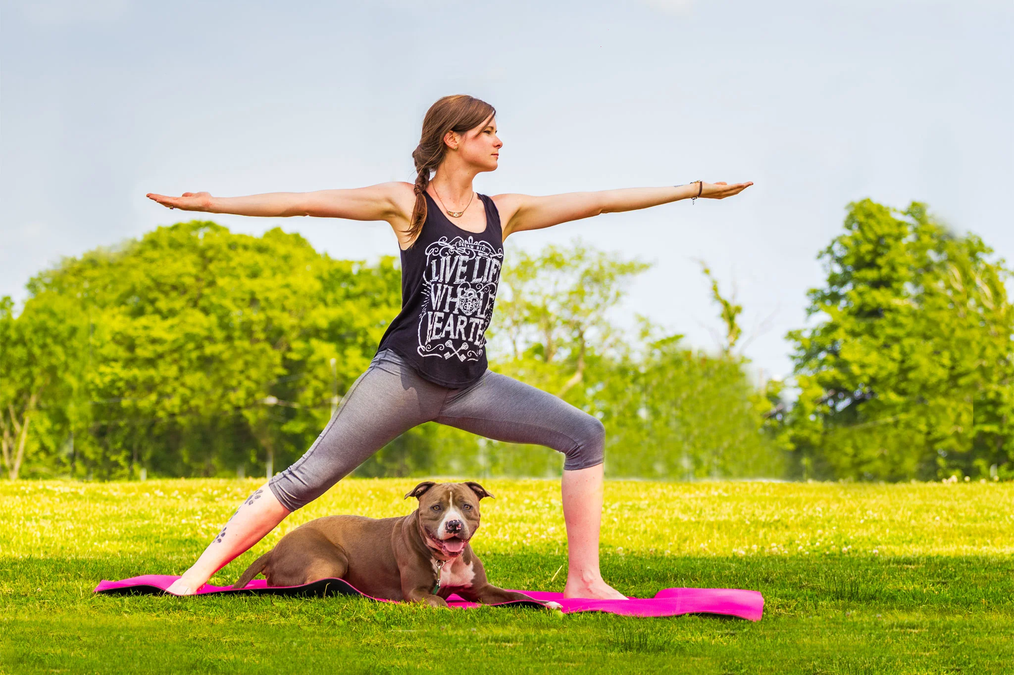 Camellia and Blitz enjoying some yoga together.