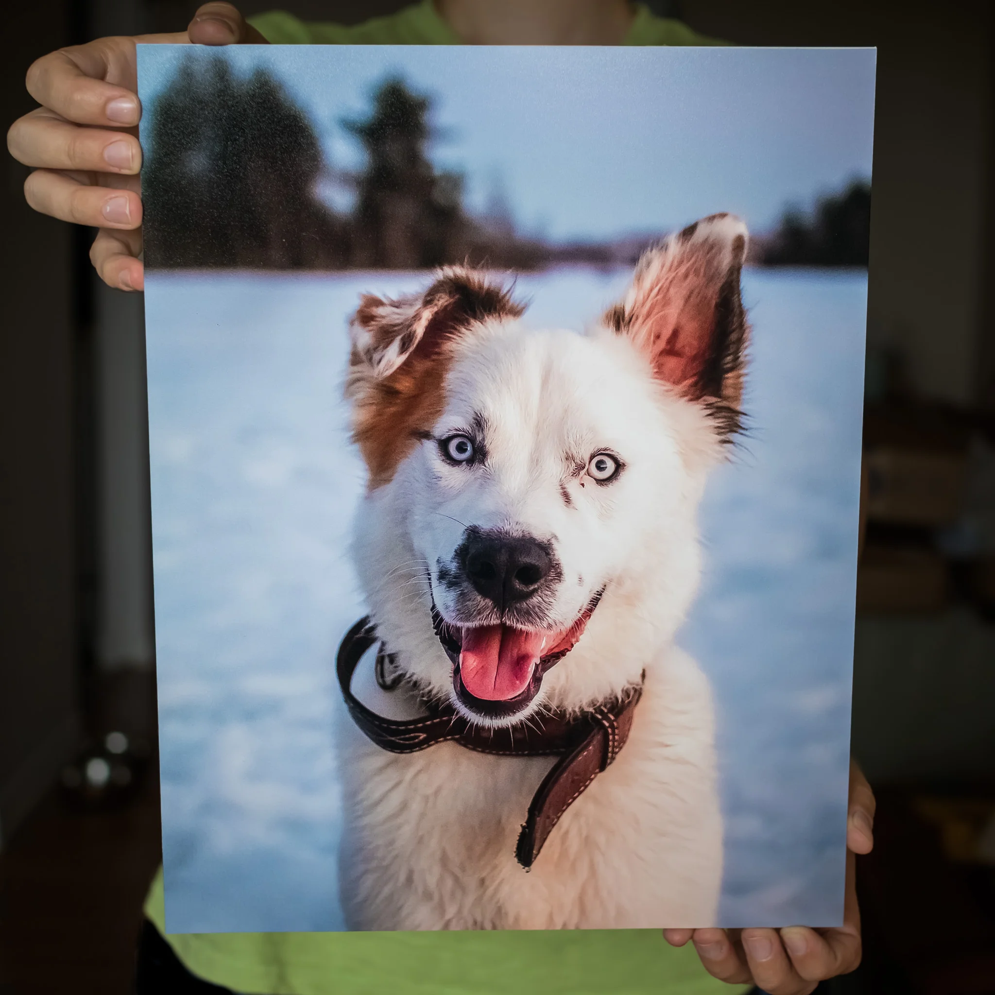 Max's parents purchased several of these beautiful mounted prints for their home.
