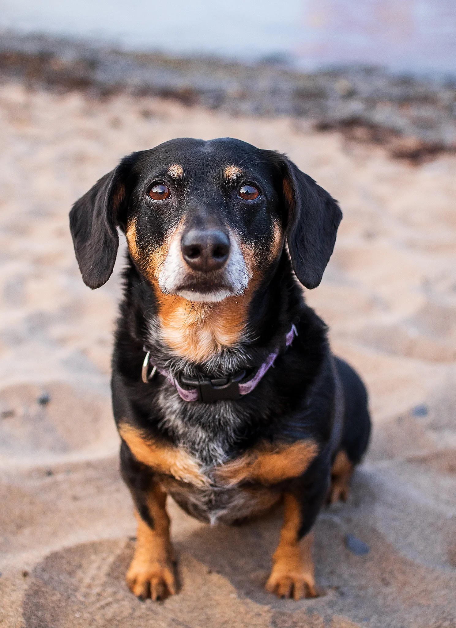 Maggie ("Mags")
