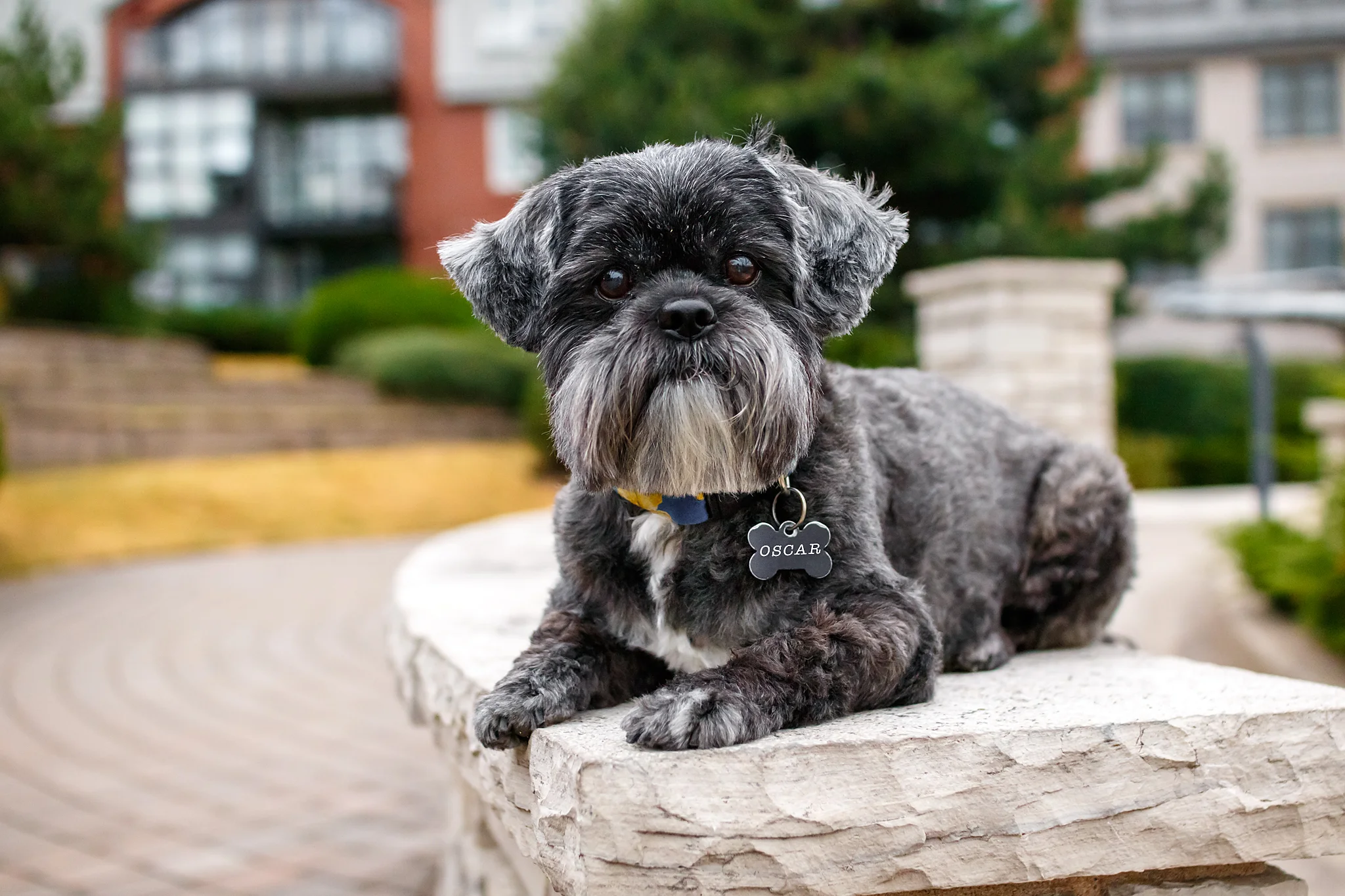 Oliver -- his mum is @kristendunlopphotography