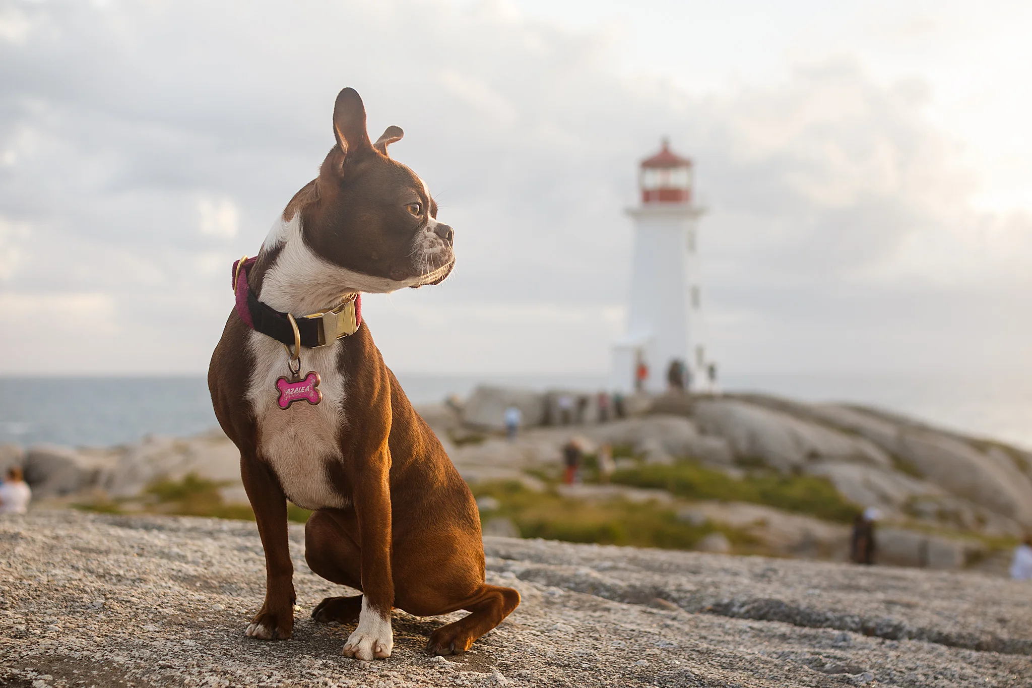 peggys_cove_photography.jpg