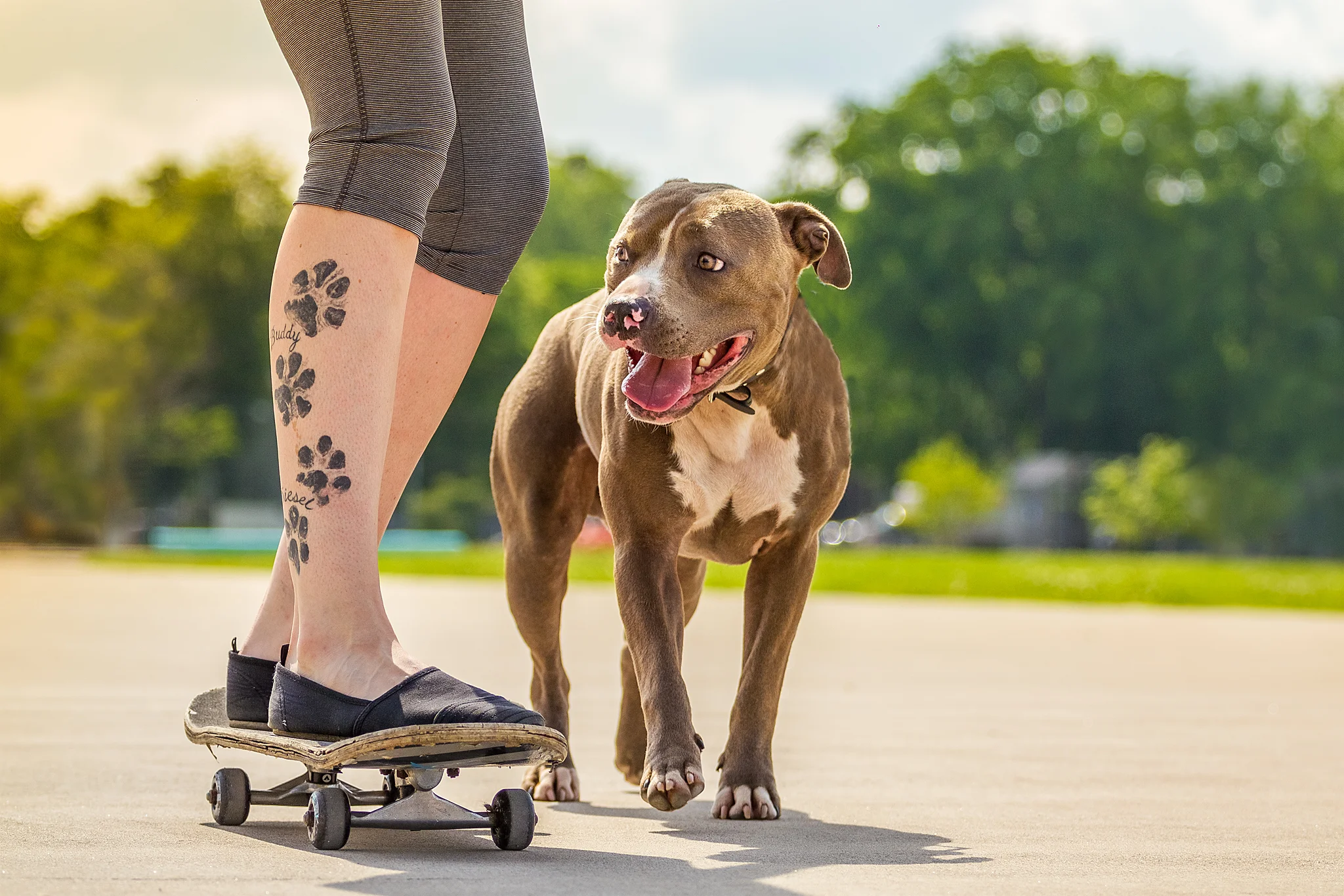 dog_tattoo_pibble_halifax.jpg