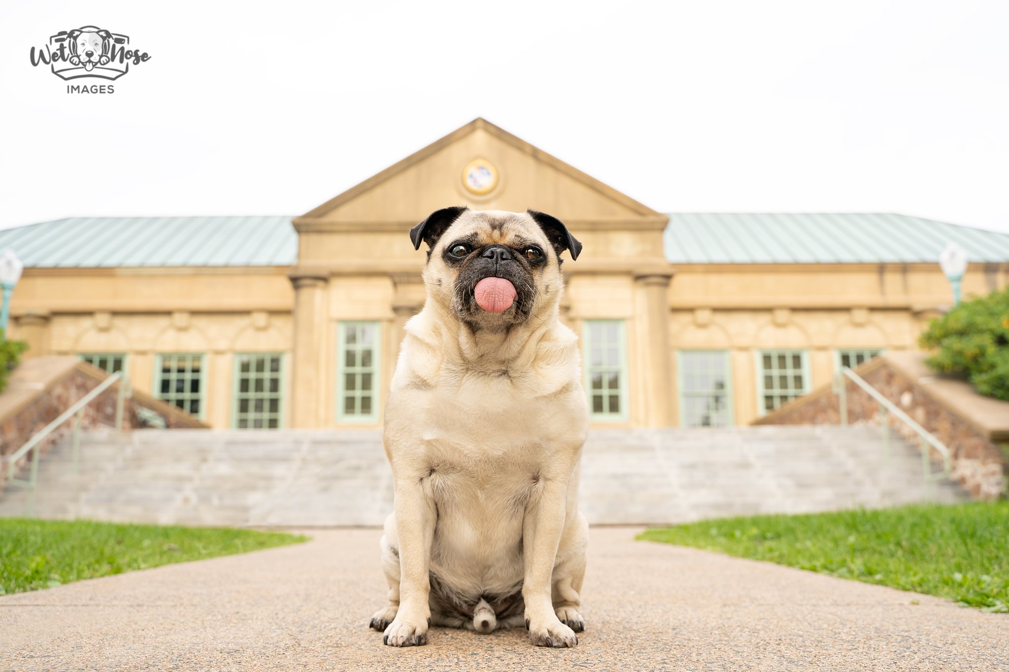 Remember wayyy back in 2021 (haha) when I published my first book, &quot;Tails of Halifax&quot;?

That was an AWESOME adventure of a year. I photographed about 50 dogs and we went to every iconic Halifax landmark I could think of! Every dog got their