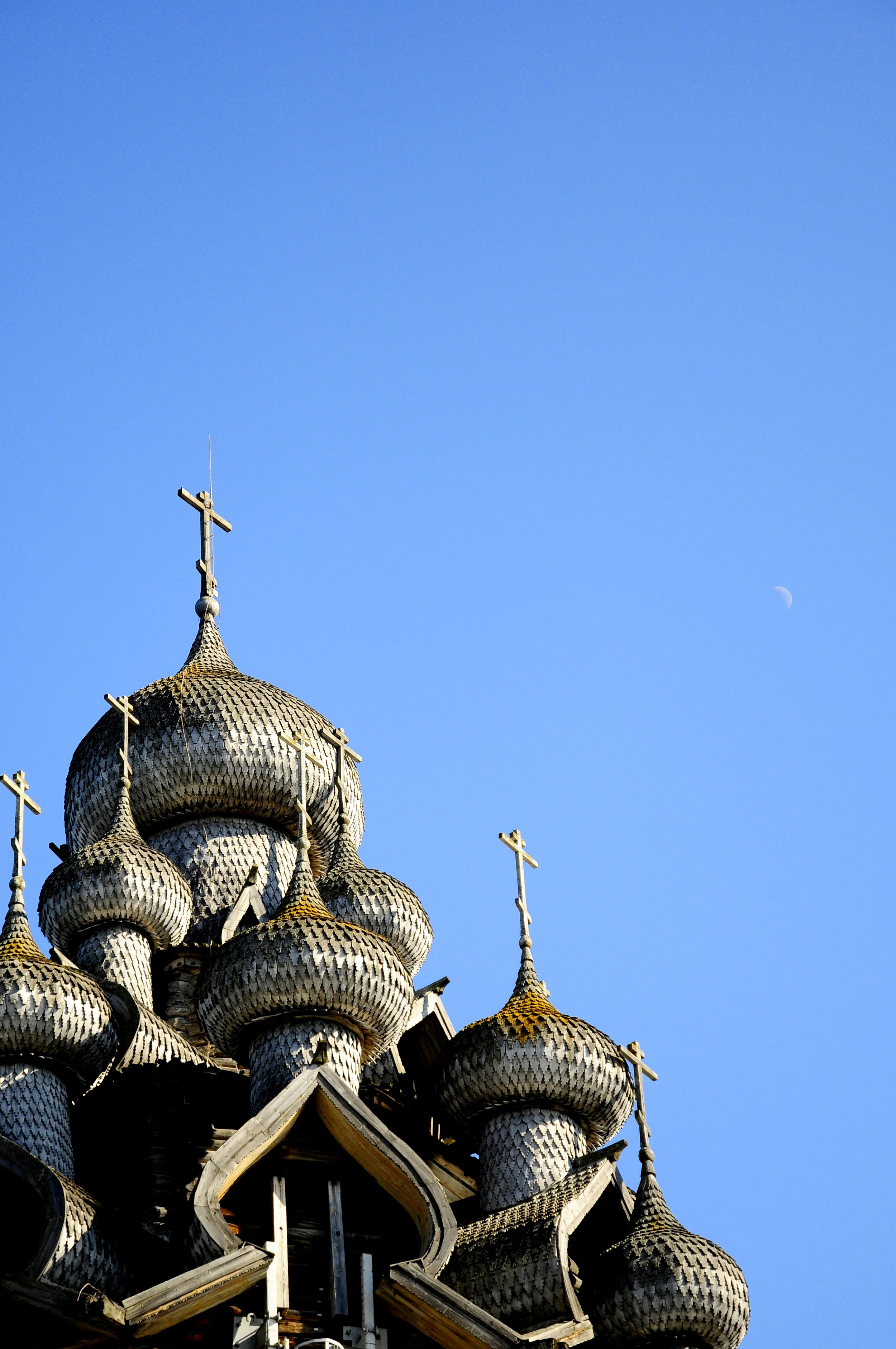 _DSC0754_2.jpg