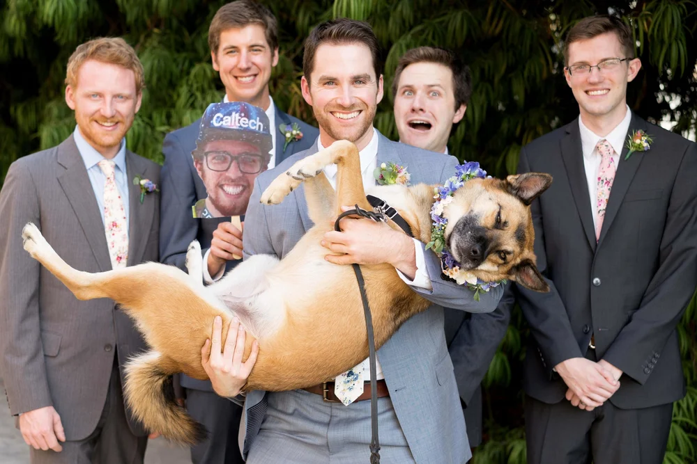 Lauren&John-davidscamera  (156 of 474).jpg