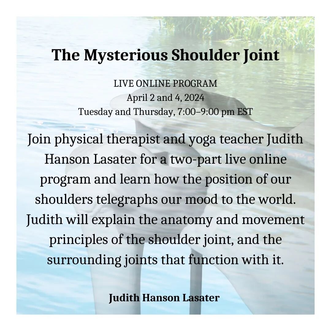 The shoulder is an important joint in the body as well as an important symbol of our strength and ability to succeed in the world.

Through anatomy review, student demonstrations, and your own asana work&mdash;to integrate what you have learned&mdash