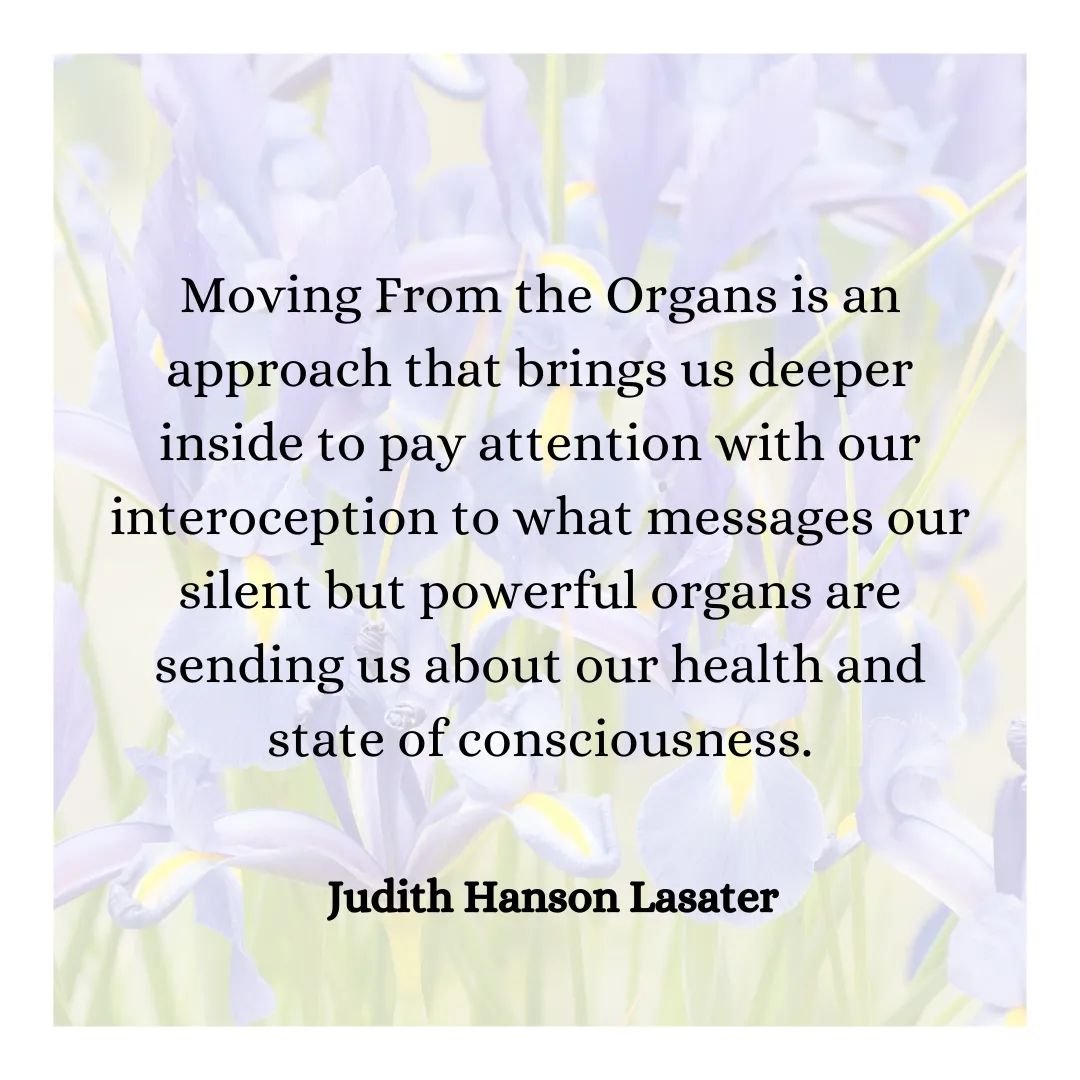 Join Judith in Austin TX! 

Moving from the Organs. 

During this workshop we will focus on specific poses that create a healthy balance for the organs in the chest and abdomen, as well as explore the theories of why they work. All types of poses wil