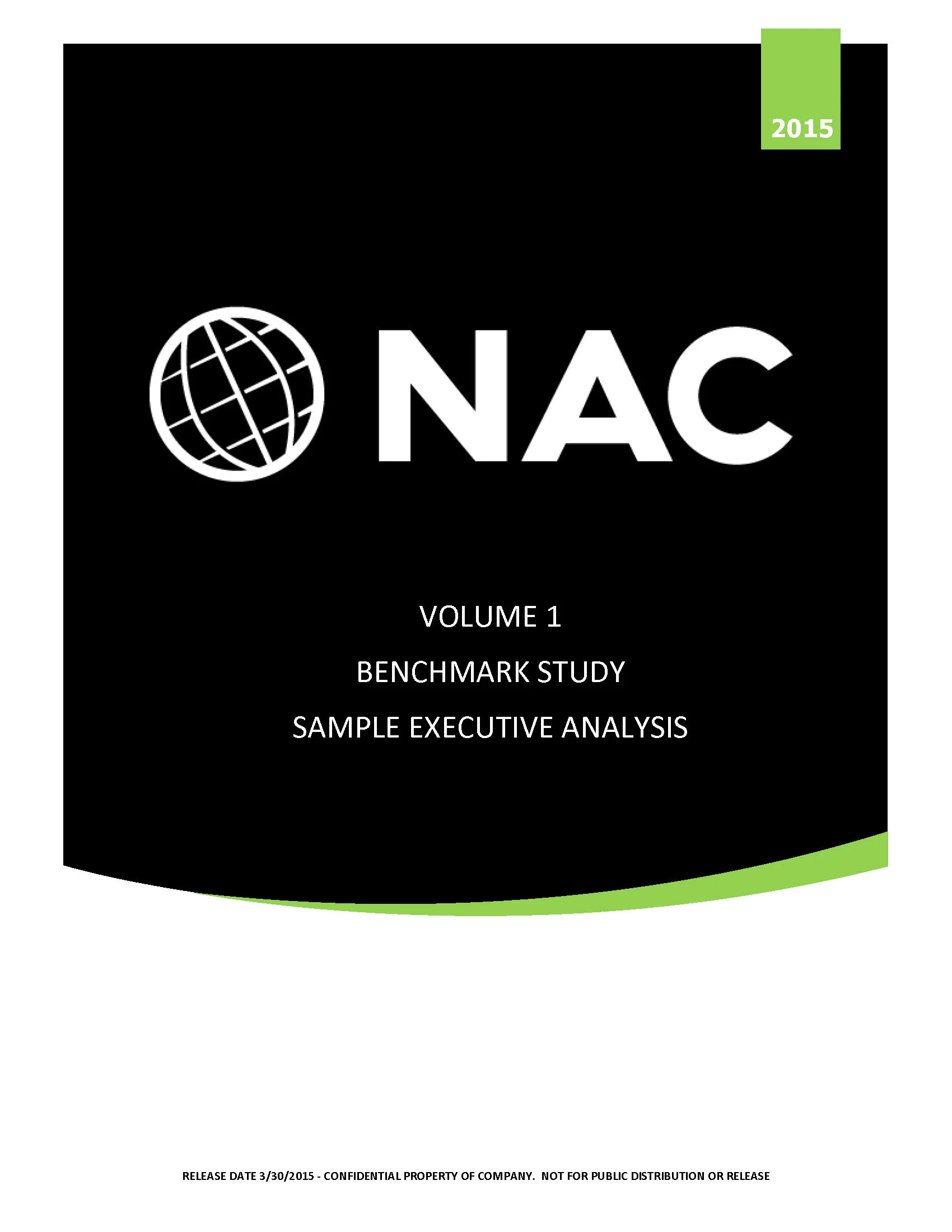 01_Executive_Summary_SAMPLE_Final_Page_01.jpg