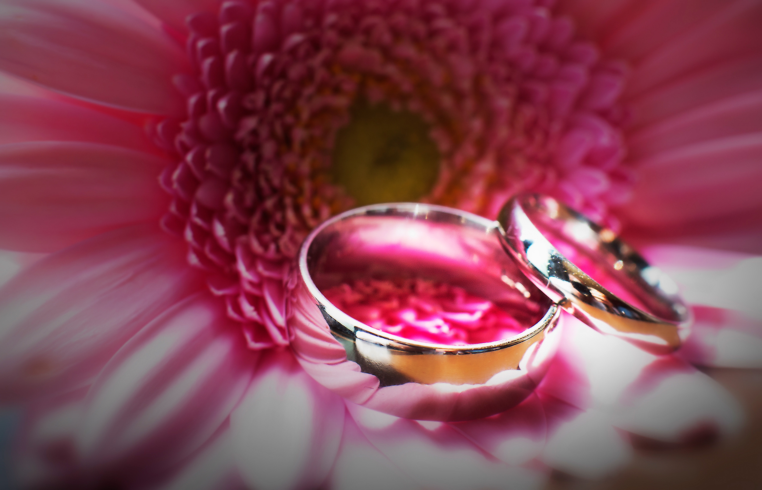 wedding-ring-shot-macro-pink-london-uk-destination-wedding-photography-Adam-Rowley