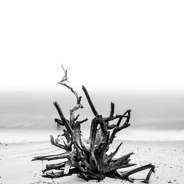 Erosion#9.. #coastalerosion #suffolk #longexposure #blackandwhitephotography #covehithe #environment #globalwarming #climatechange #health #beauty #travel #beach #landscape #photography #urban #landscape #urbanphotography #travelphotography #document