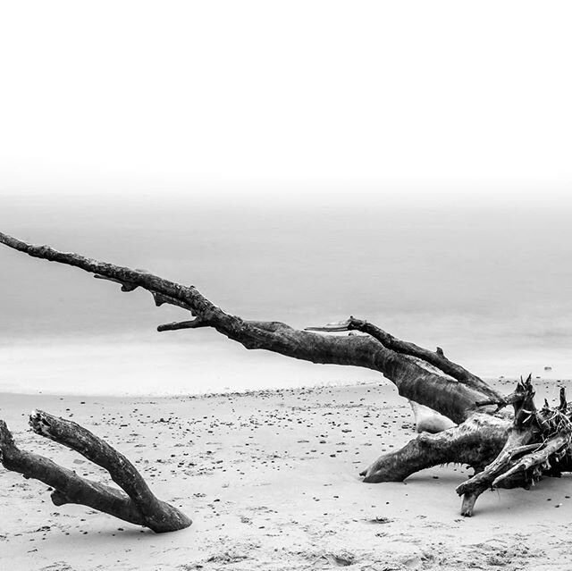 Erosion#6. #coastalerosion #suffolk #longexposure #blackandwhitephotography #covehithe #environment #globalwarming #climatechange #health #beauty #travel #beach #landscape #photography #urban #landscape #urbanphotography #travelphotography #documenta