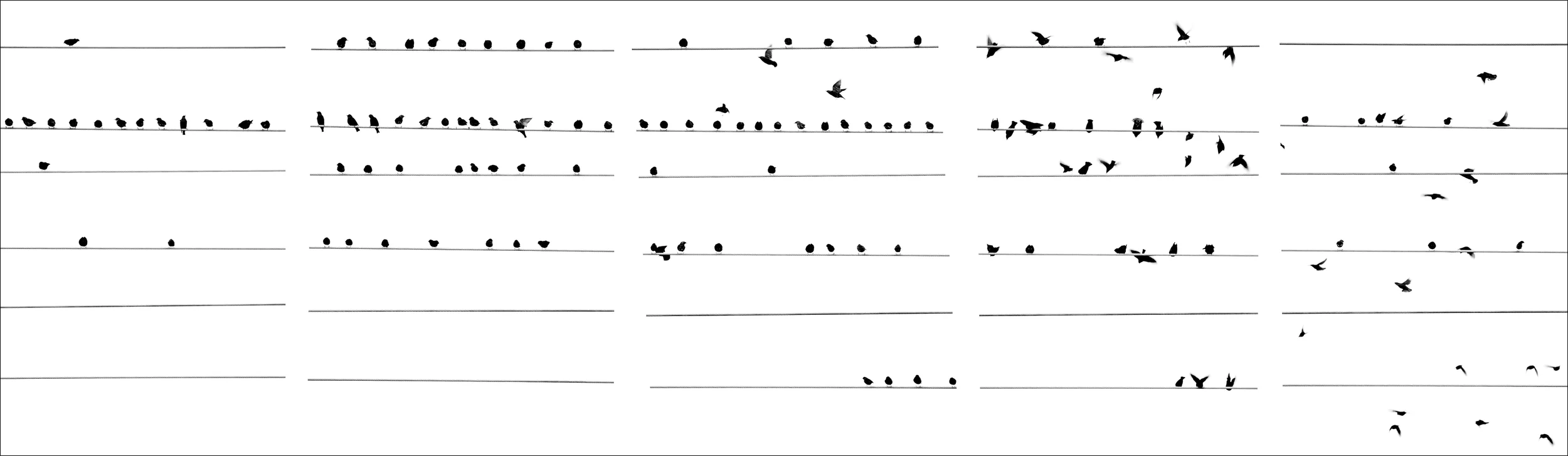 Musica.jpg