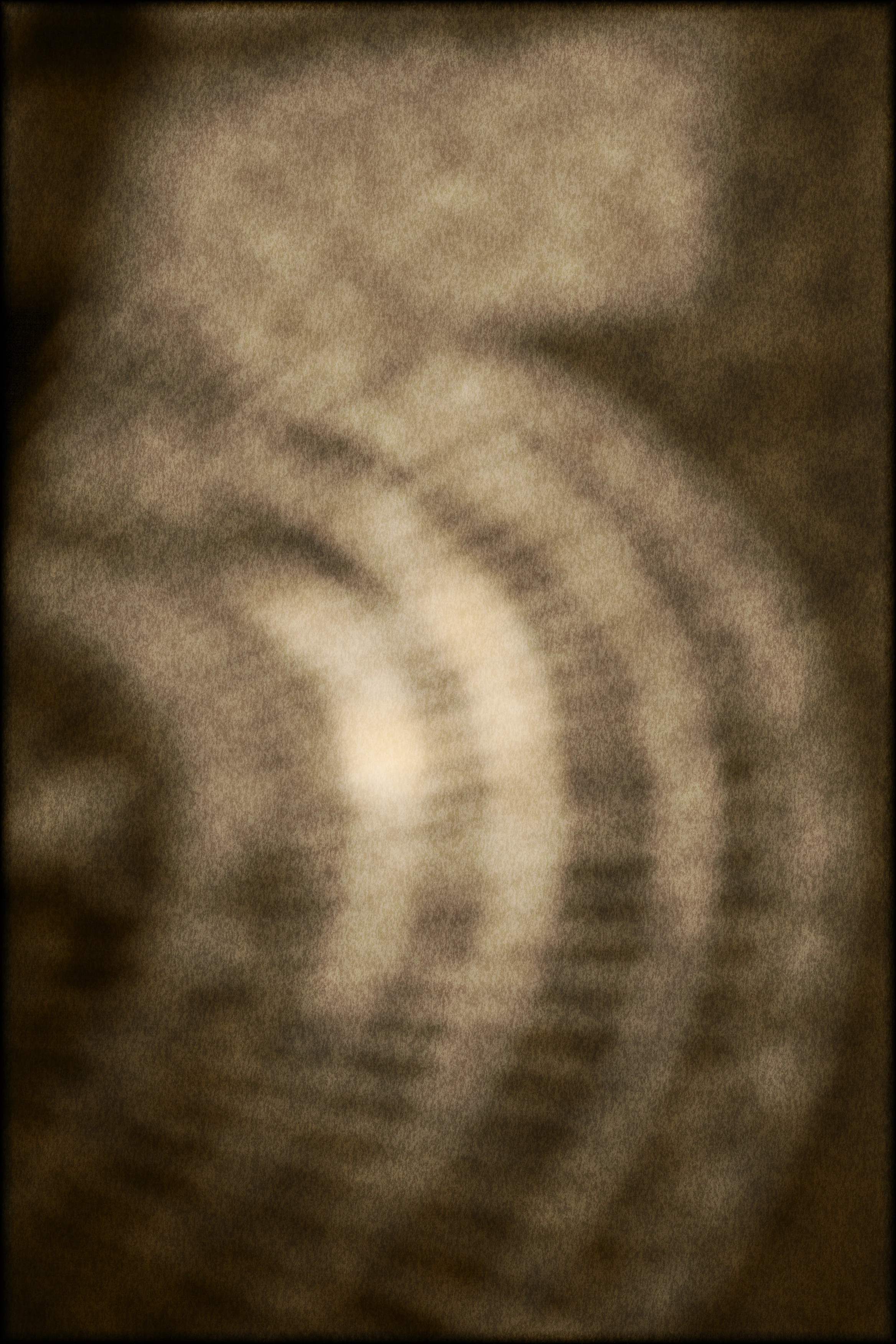 _Y5V5439.jpg