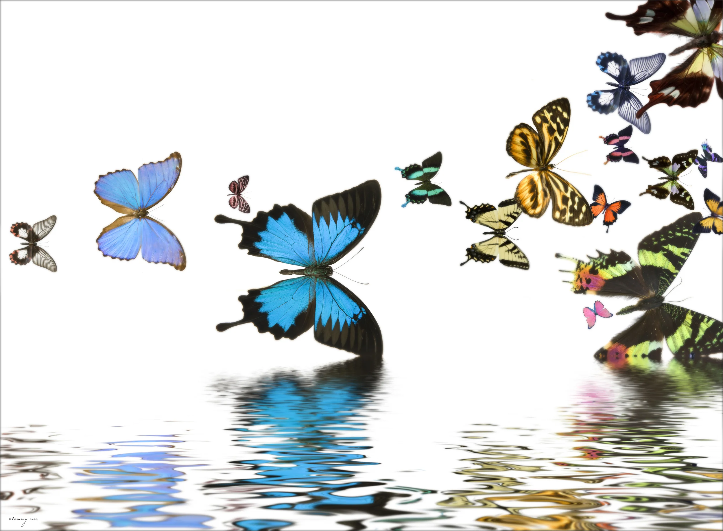 Flight ll-large.jpg