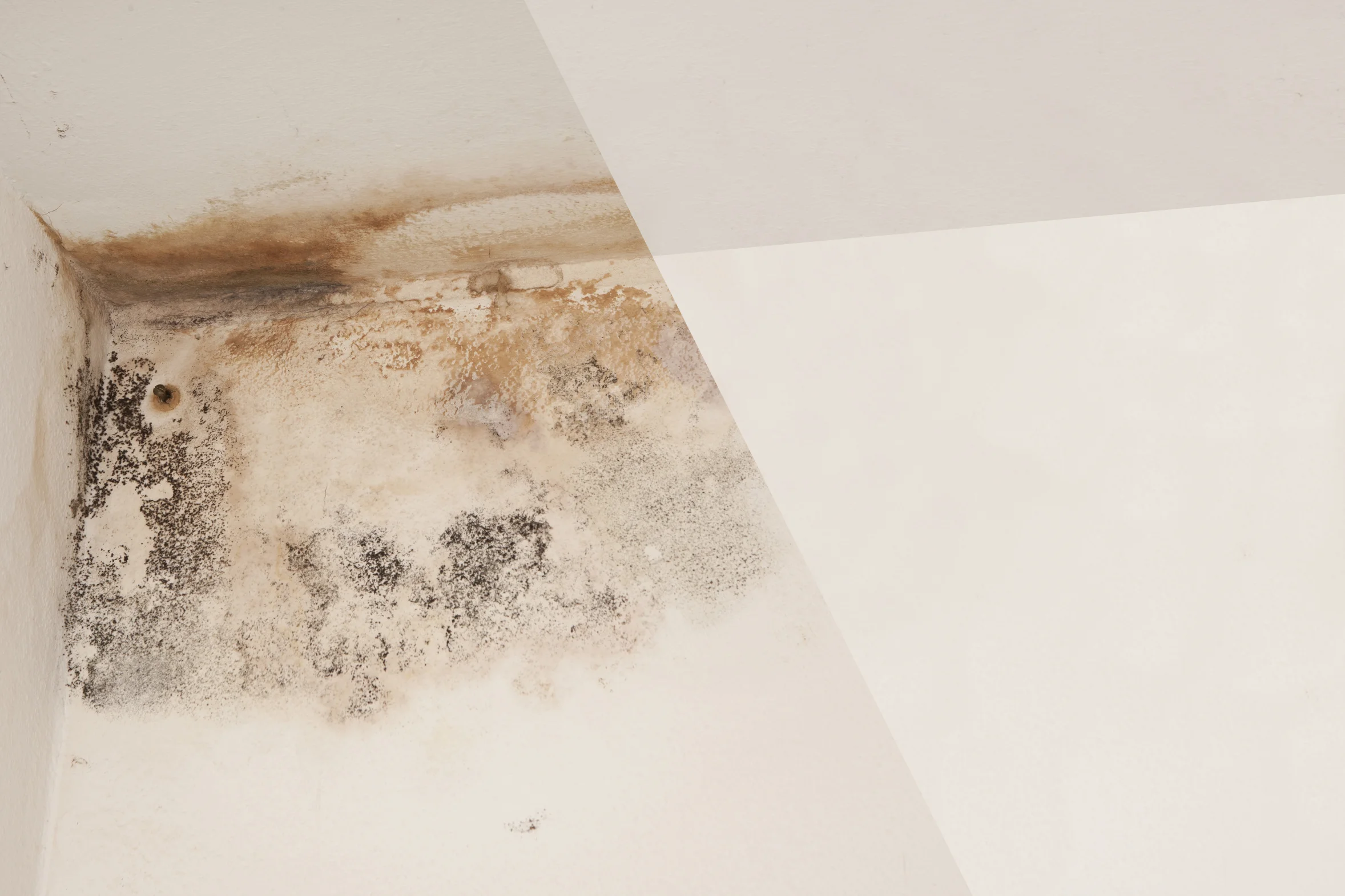 Traitement Condensation & Murs humides ABI — free download