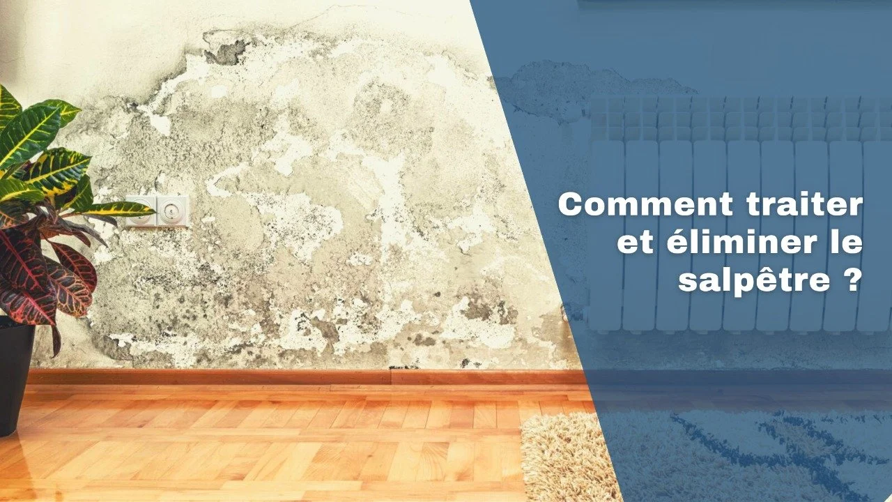 Éliminations et traitements du salpêtre | ABI Humidité