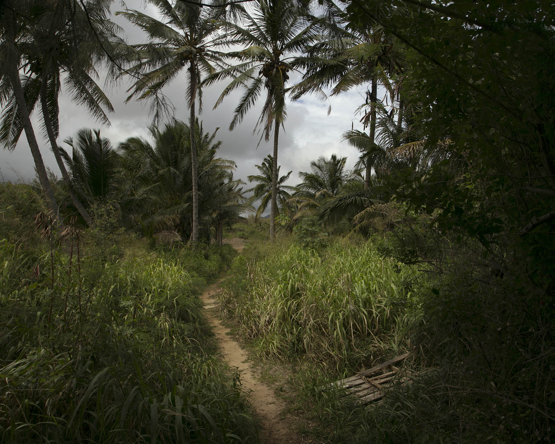  Kauai&nbsp; 