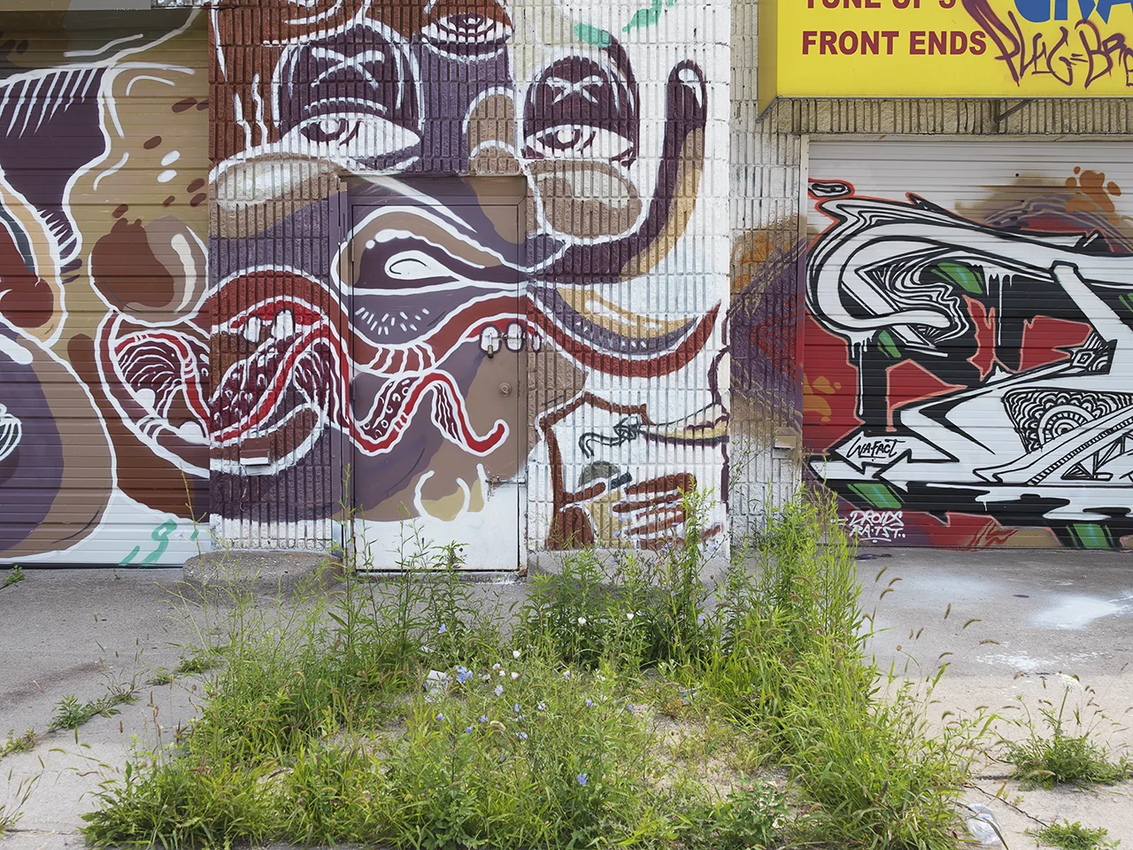 untitled#244.jpg