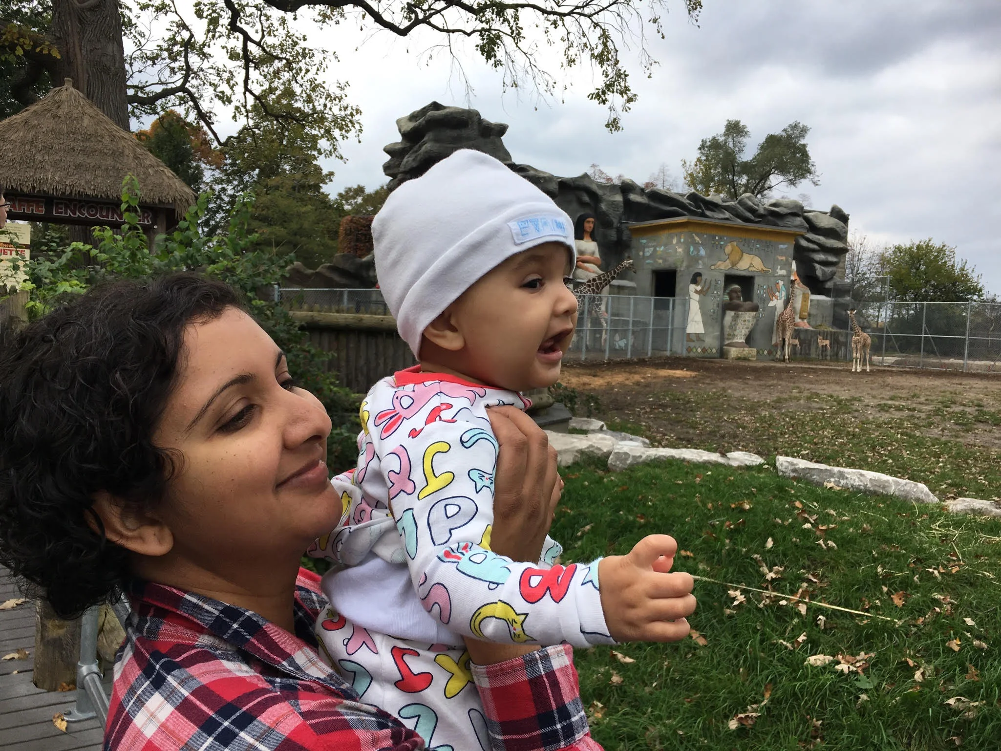 Admiring giraffes at the Detroit Zoo.