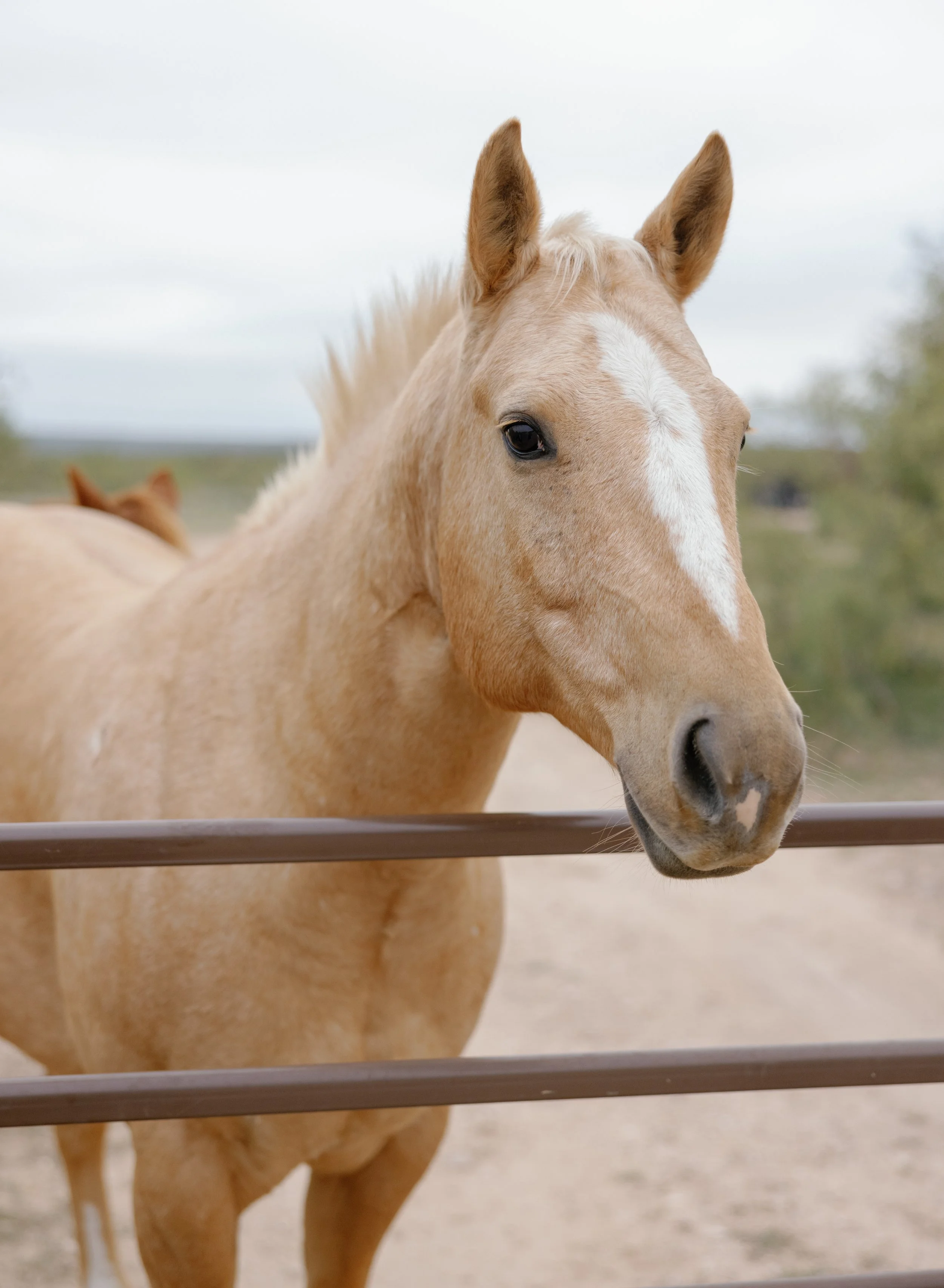 Meredith & Abhinav Wedding-814.jpg