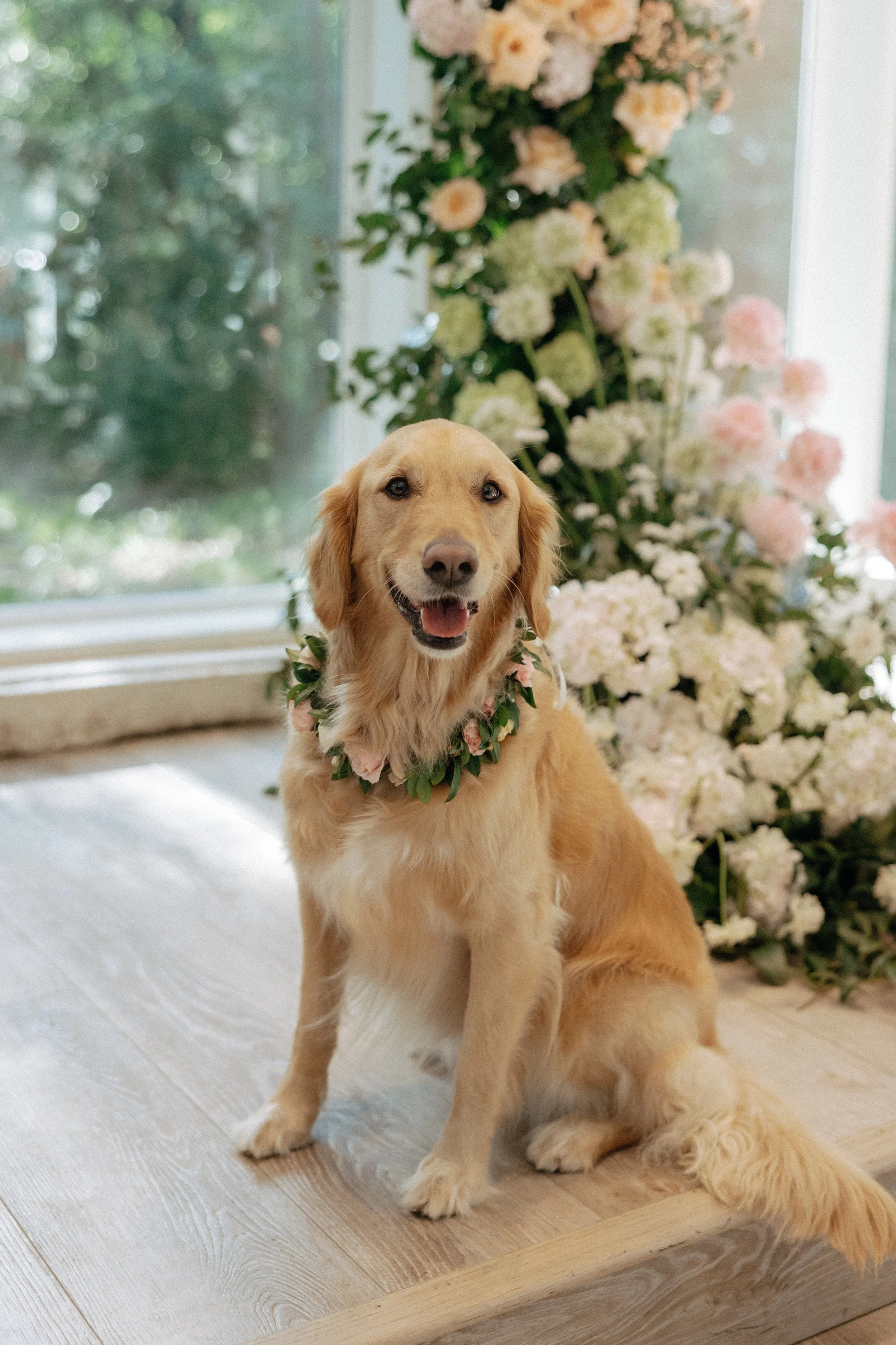 Ally.Drew.WEDDING - CJP-752.jpg