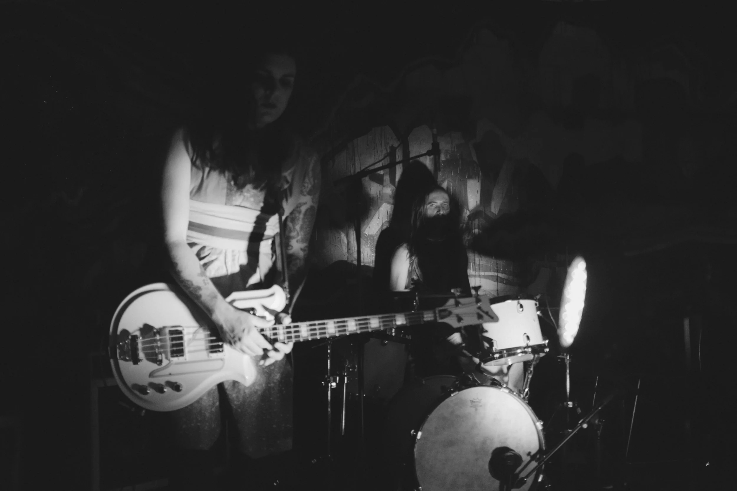 Siamese in Denton, TX - September 2016