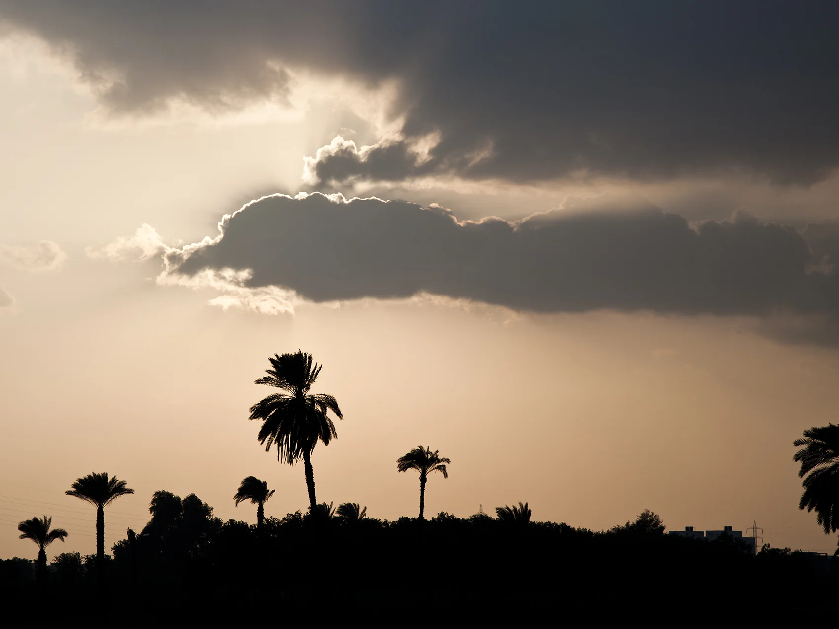 www.ellinorhall.se_egypt2011_012.jpg
