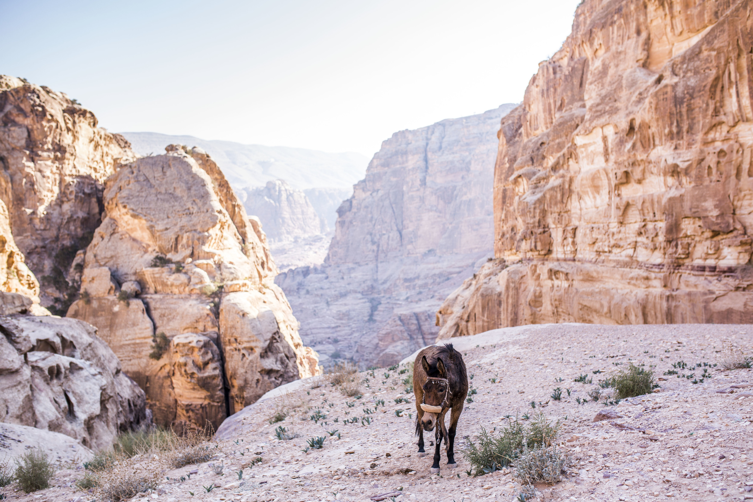 petra20141206_0035.jpg