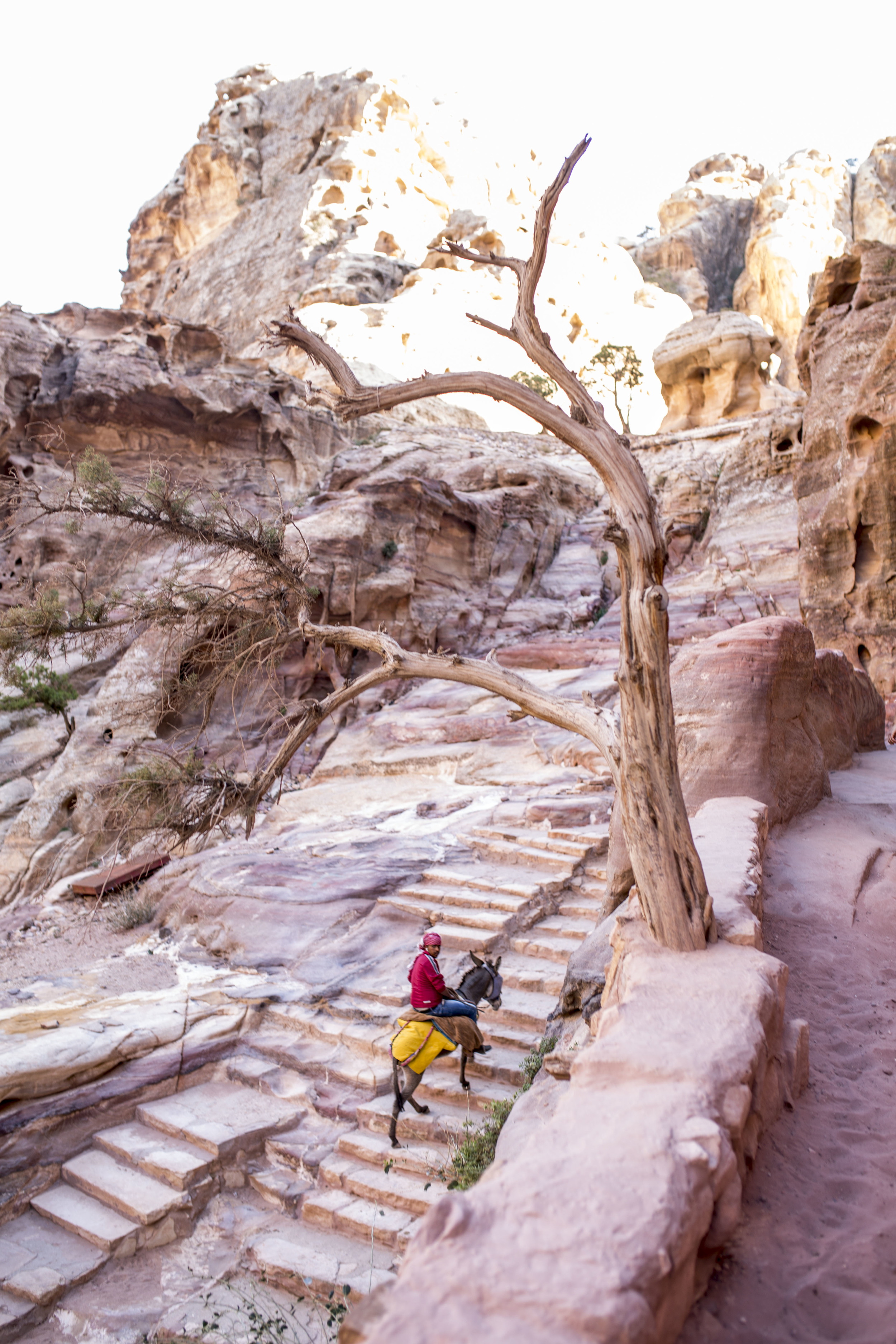 petra20141206_0044.jpg