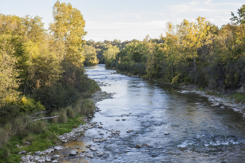 009Websters Falls Engagement Shoot - Jono & Laynie Co.jpg