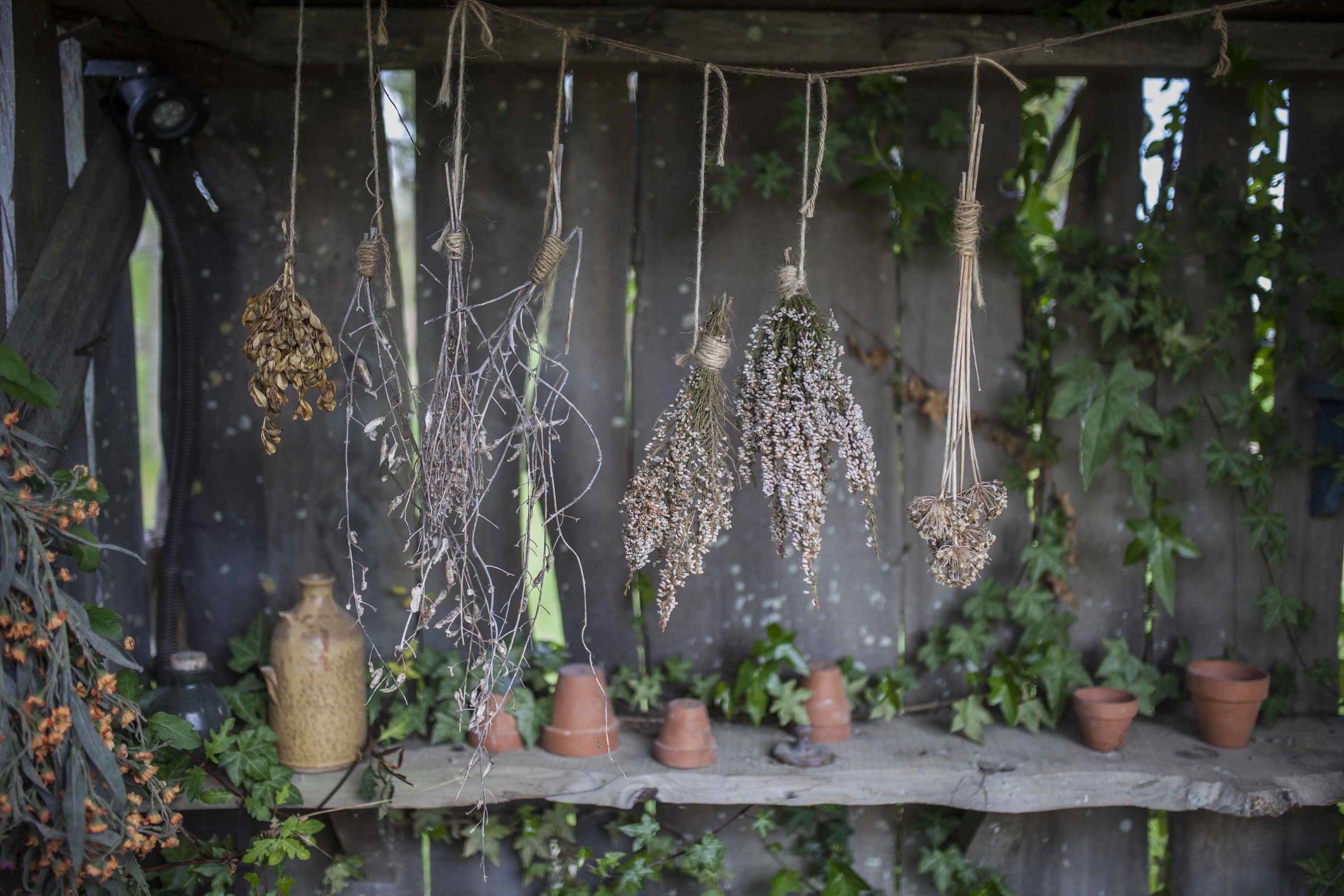 082Toronto Lifestyle Photographers -Hobbiton, New Zealand - Jono & Laynie Co.jpg