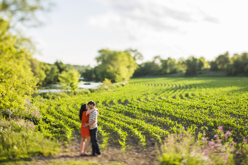 Toronto Photographers - Engagement Session -JonoLaynie26.jpg