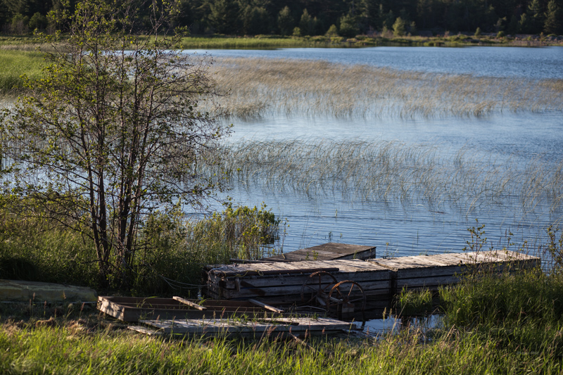 St. Joes Island-Toronto Photographer-Jono&Laynie05.jpg