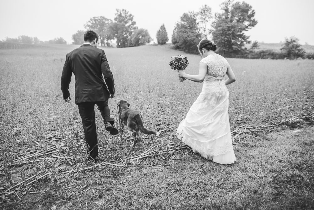 Brantford Wedding Photographer-Jono & Laynie063.jpg