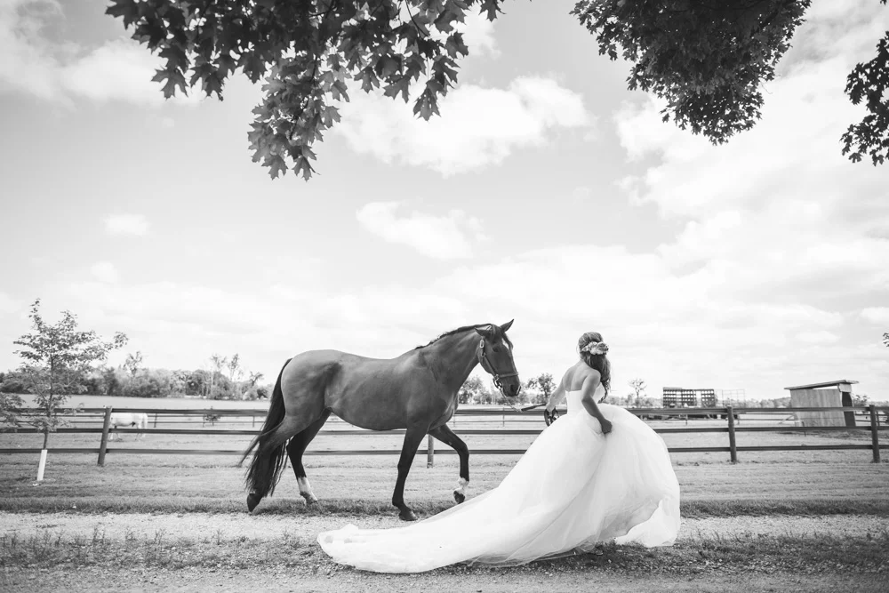 Brantford Toronto Photographer070.jpg