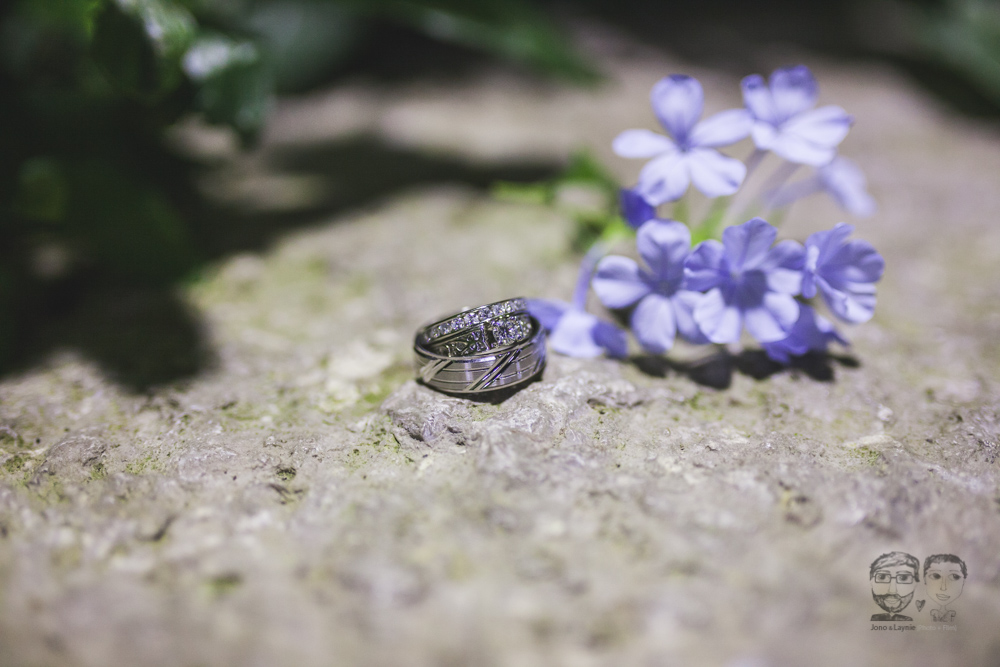 Butterfly Conservatory-JonoLaynie53.jpg