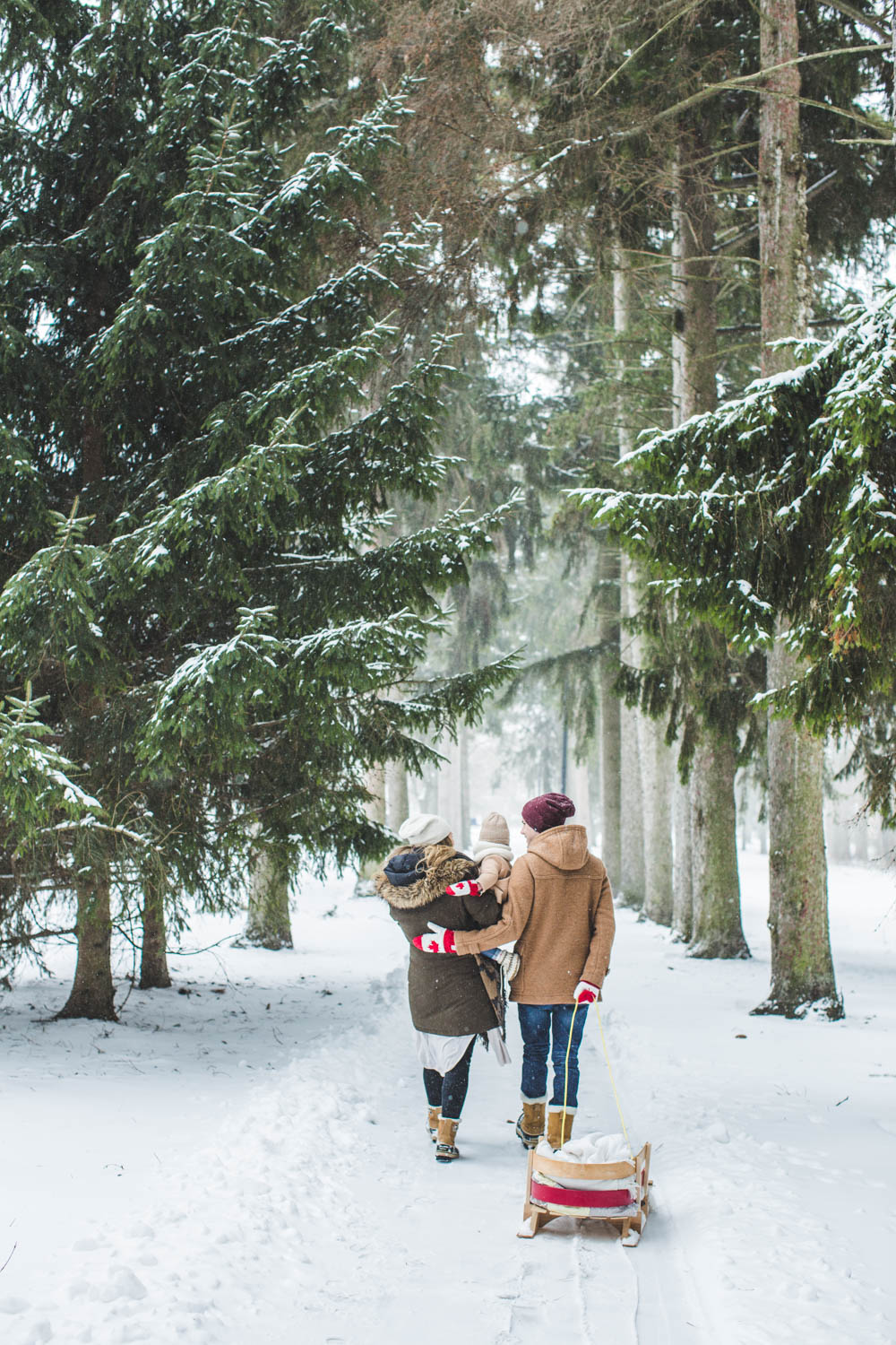 Brantford Family Photo Session