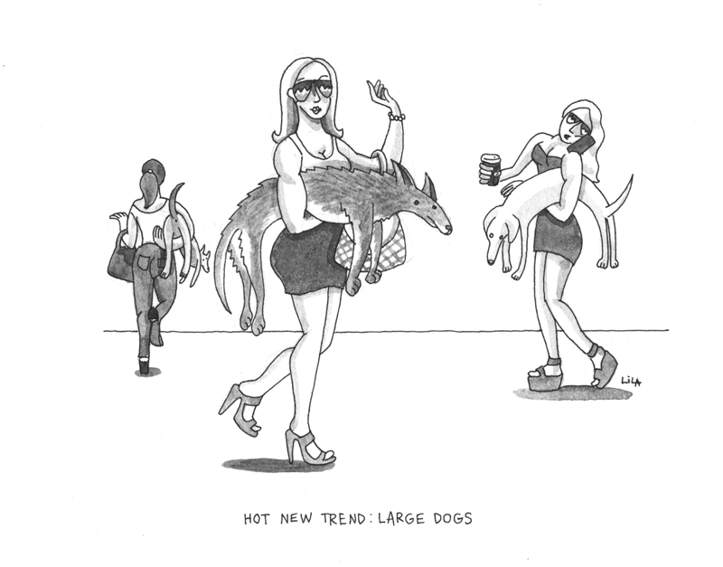 largedogs.png