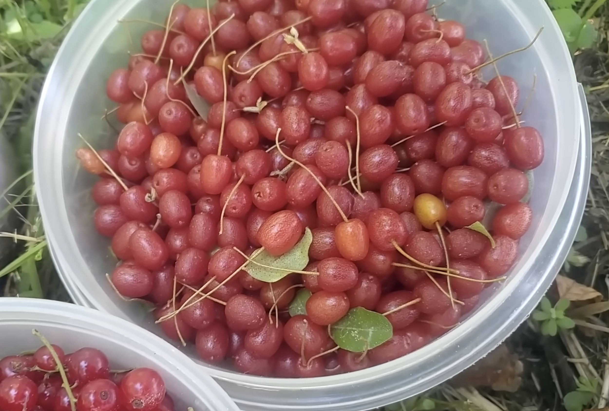 Screenshot 2025-08-25 at 8.29.35 PM.png