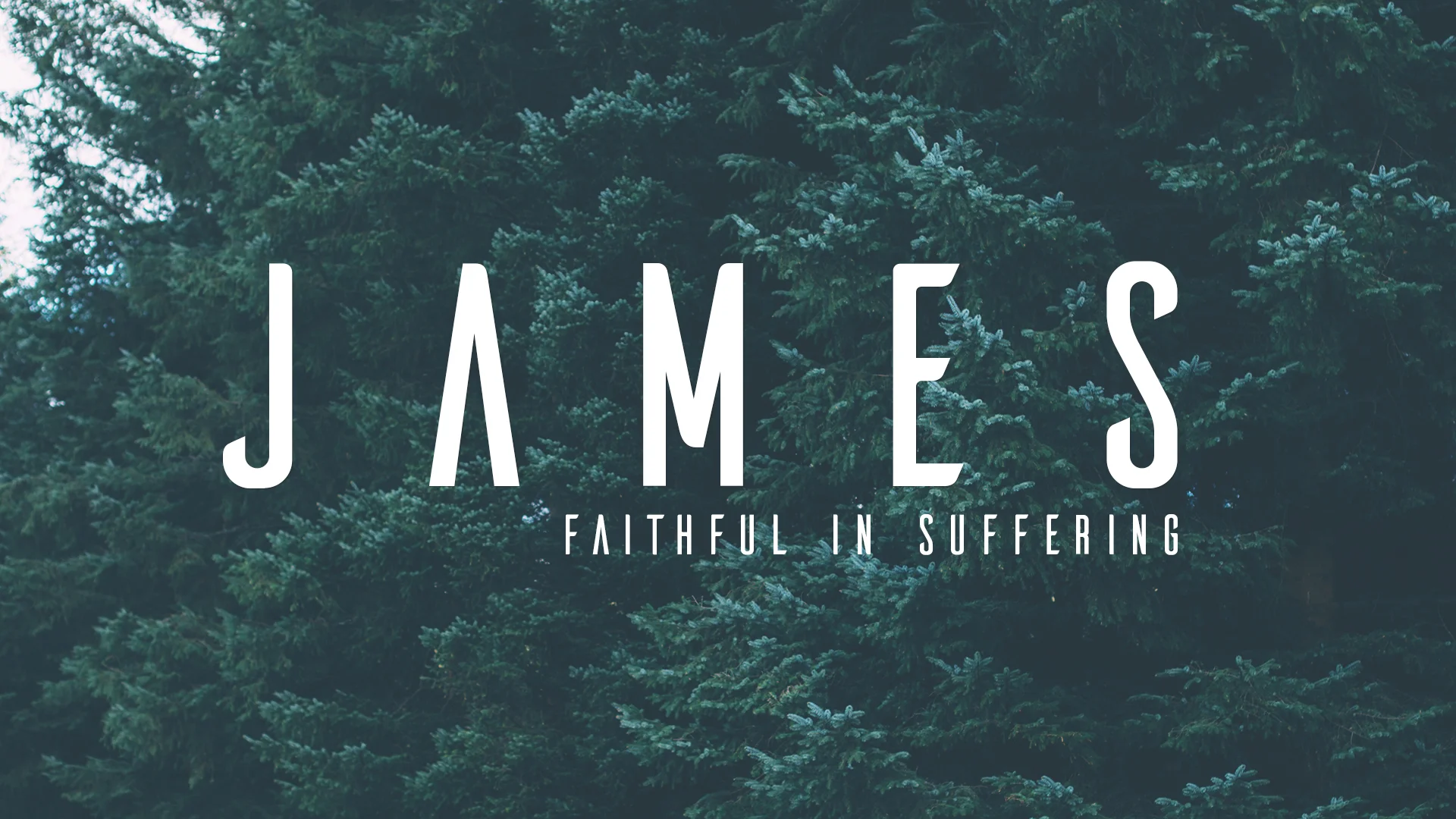 JAMES-A3.jpg
