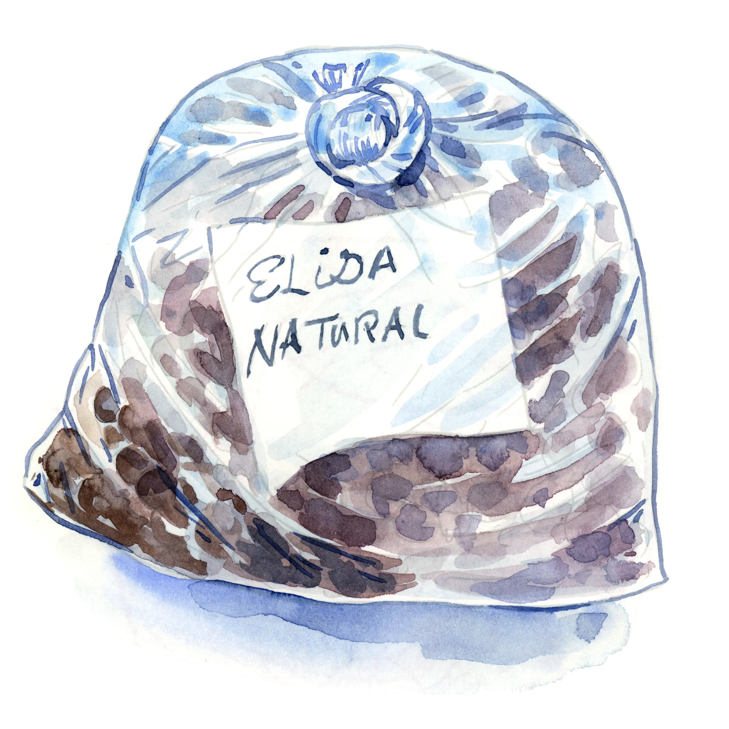 elidabag.jpg
