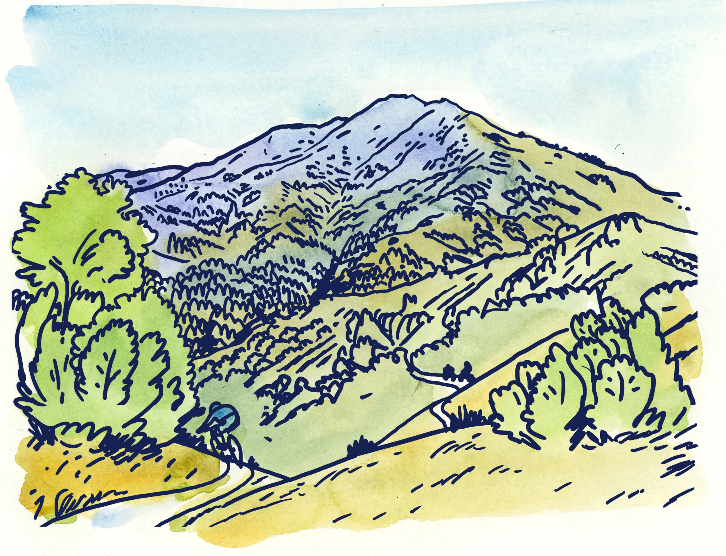 mt tam.jpg