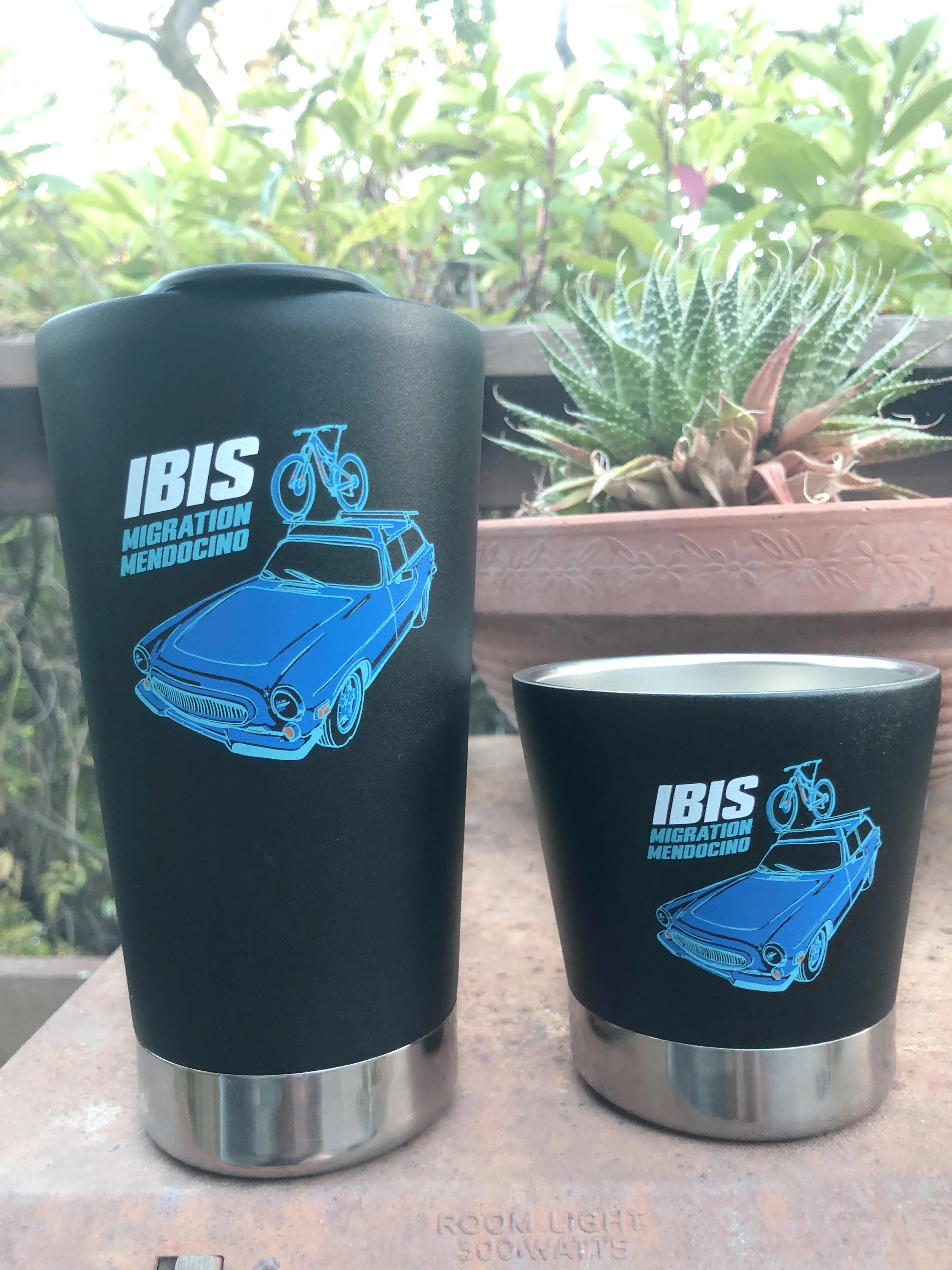 ibis_cup.jpg